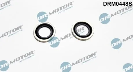 Комплект прокладок турбокомпресора FORD FOCUS 2,0 Dr.Motor DRM0448S