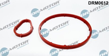 Комплект прокладок вакуумного насоса Dr.Motor DRM0612