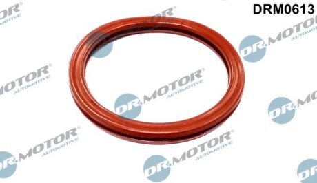 Ущільнююче кільце Dr.Motor DRM0613 (фото 1)