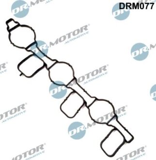 Прокладка колектора SSĄCEGO VAG Прокладка, впускной коллектор Dr.Motor DRM077