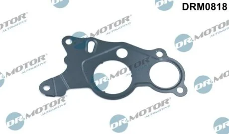 Ущільнення, вакуумний насос Dr.Motor DRM0818
