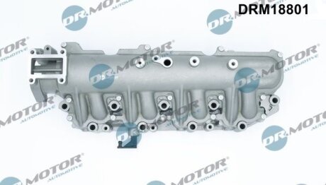 Впускний колектор 159 (939_), 06.05-12 Dr.Motor DRM18801