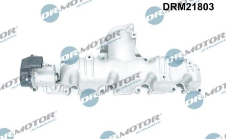 Впускний колектор PASSAT B6 (3C2), 03. Dr.Motor DRM21803
