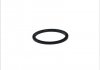 Уплотнительное кольцо, резьбовая пр DT 1.16064 (фото 1)