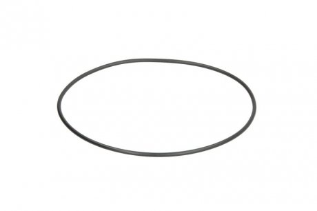 Уплотнительное кольцо DT 1.17104 (фото 1)