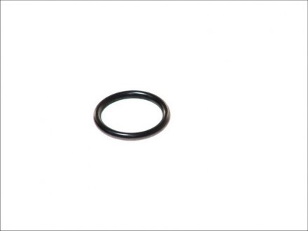 Елемент форсунки Common Rail DT 4.20410 (фото 1)