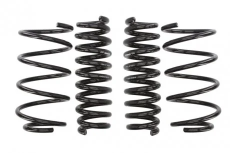 Занижуючі пружини, Pro-Kit, 4шт, (30мм / 25мм), (1090кг / 1200кг), BMW 3 (E91) 3.0/3.0D 12.04-06.12 EIBACH E10200140722