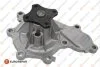 Водяний насос Nissan X-Trail/Almera/Primera 2.2dCi/Di 00- 1623115380