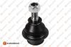 Опора шаровая (передняя) Ford Transit/Connect 1.8-3.2TDCi 00- EUROREPAR 1634884080 (фото 1)