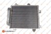 Радіатор кондиціонера Aygo/107/C1 1.0 i/1.4 HDi 05-14 EUROREPAR E163360 (фото 1)