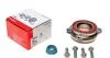 Комплект подшипника ступицы колеса 713 6679 40