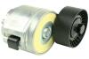 Натяжник пасків приводних Fiat, Opel 1.6D Multijet-2.0D Multijet 01.04- FAST FT44617 (фото 1)