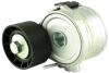 Натяжитель Ремня Micro-V Кпл 2.0 Jtd 02- FAST FT44628 (фото 1)