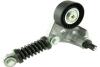 НАТЯЖИТЕЛЬ РЕМНЯ MICRO-V FORD TRANSIT 00&gt; КПЛ 2.0 TDCi FAST FT44631 (фото 1)
