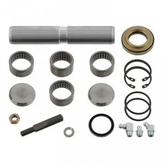 Комплект шворнів поворотного кулака з підшипником FEBI BILSTEIN 09690