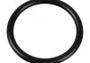 Sealing Ring 174322