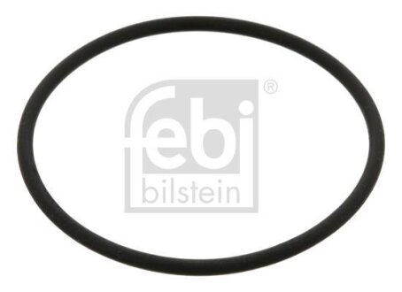 Фото 1 - сальник маточини колеса (55x55x2,5) FEBI BILSTEIN 40739 Сальник маточини колеса (55x55x2,5) FEBI BILSTEIN 40739 (фото 1)