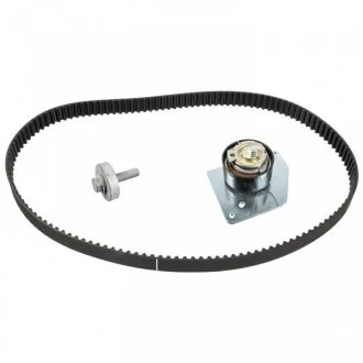 Ременный комплект FEBI BILSTEIN 43669