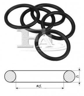 Уплотнительное кольцо Fischer Automotive One (FA1) 244850100 (фото 1)