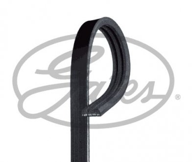 PASEK W/KLINOWY Gates 3PK810SF