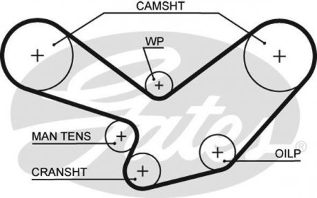 Ремінь ГРМ Gates 5098XS (фото 1)