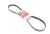 Ремень генератора 6PK1183 Audi 80/A6/Fabia 1.9TDI (AC)/Ducato 2.0JTD 01> (ALT) GATES 6PK1183