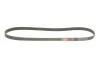 Ремень Gates 6PK1263 (фото 2)