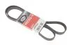 Ремень генератора 6PK1540 Golf IV/BMW/Ford/Opel GATES 6PK1540