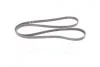 Ремень поликлиновый Gates 6PK2053