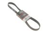 Ремень поликлиновый 8PK1162EST