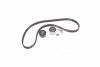 Комплект ГРМ Scudo/Jumpy/Berlingo/Partner 1.9D (DW8) 98- GATES K025523XS