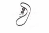 Комплект ГРМ Scudo/Jumpy/Berlingo/Partner 1.9D (DW8) 98- Gates K025523XS (фото 4)