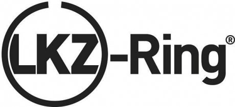 Комплект кілець GOETZE 0844380700