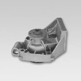 Насос охолоджуючої рідини, з ущільненням ALFA ROMEO AR 6 FIAT DUCATO FORD FOCUS II 2.4D/2.5/2.5D 01.82-09.12 HEPU P092