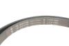 ZESTAW PASKA WIELOROWK. JEEP 2.0CRD MITSUBISHI 2.0DI-D INA 529051510 (фото 3)