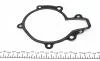 Насос охолоджуючої рідини, з ущільненням CHEVROLET CAPTIVA, CRUZE, EPICA, LACETTI, NUBIRA, OPEL ANTARA A 2.0D 01.05- INA 538 0312 10 (фото 5)