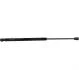 Амортизатор багажника MB C-class(S204)/E-class(S212) 07-16 (479/174mm 580N) 1381202400