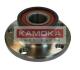 Комплект подшипника ступицы колеса KAMOKA 5500023 (фото 1)