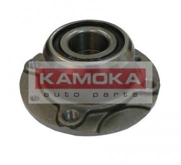 Набір підшипника маточини колеса KAMOKA 5500026 (фото 1)