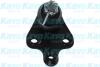 Опора кульова (передня/знизу) Toyota Avensis 05-08/Corolla Verso 04-09 KAVO SBJ9101 (фото 1)