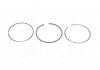 Кольца Doblo 1.9D/JTD STD (1cyl) KOLBENSCHMIDT 800050210000 (фото 1)
