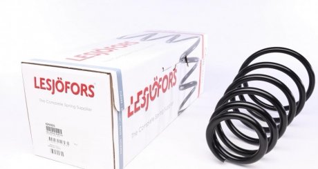 Пружина LESJOFORS 4244225 (фото 1)