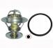 Термостат FORD ESCORT/FIESTA/FOCUS/MONDEO/TOURNEO CONNEC MAGNETI MARELLI 352317000330 (фото 1)