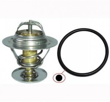 Термостат FORD ESCORT/FIESTA/FOCUS/MONDEO/TOURNEO CONNEC MAGNETI MARELLI 352317000330 (фото 1)