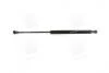 Амортизатор кришки багажника MAGNETI MARELLI 430719078900 (фото 3)