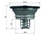Термостат системи охолодження VOLVO 8300, 9300, 9400, B9, FH, FM, FM9 D13A400-G9A300 12.01- THD376