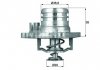 Термостат системи охолодження TI 13 92
