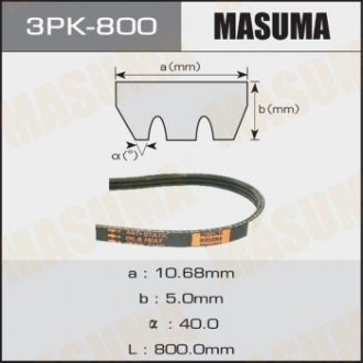 MASUMA 3PK800