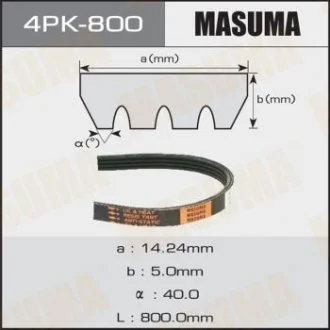 MASUMA 4PK800