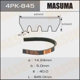 MASUMA 4PK845